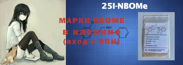 стаф Каменск-Шахтинский