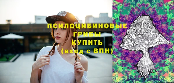 скорость Каменногорск