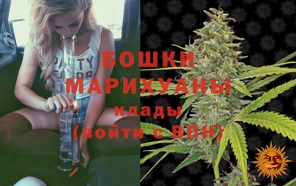 скорость Каменногорск