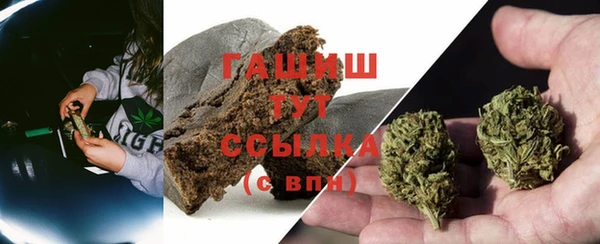 стаф Каменск-Шахтинский