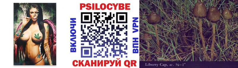 Псилоцибиновые грибы Magic Shrooms  Липецк 