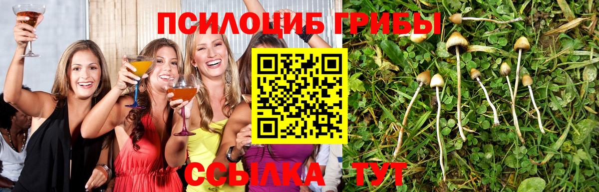 Россия  Псилоцибиновые грибы MAGIC MUSHROOMS  Галлюциногенные грибы прущие грибы  Вход с VPN 