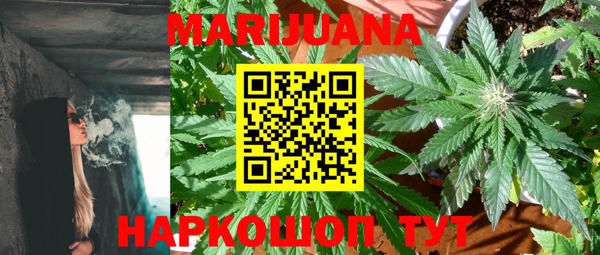 Конопля планчик Россия